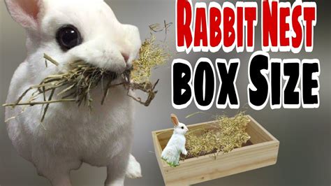 Rabbit Nest Box Size And Dimension Muyal Nest Box Rabbit Nest Box