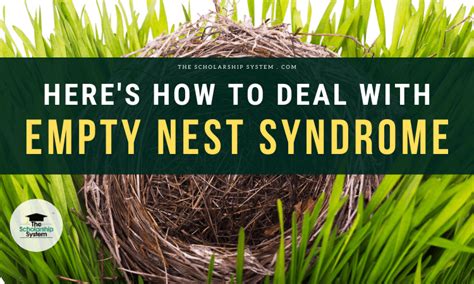 Here S How To Deal With Empty Nest Syndrome The Scholarship System