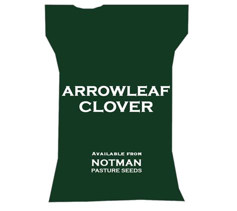 Arrowleaf Clover Notman Pasture Seeds Australia
