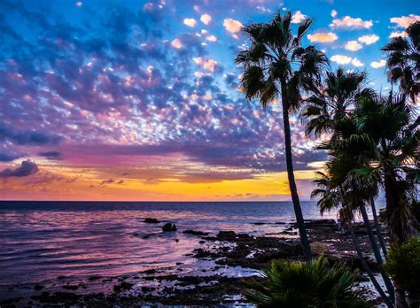 Download Horizon Palm Tree Sea Ocean Tropical Nature Sunset Hd Wallpaper
