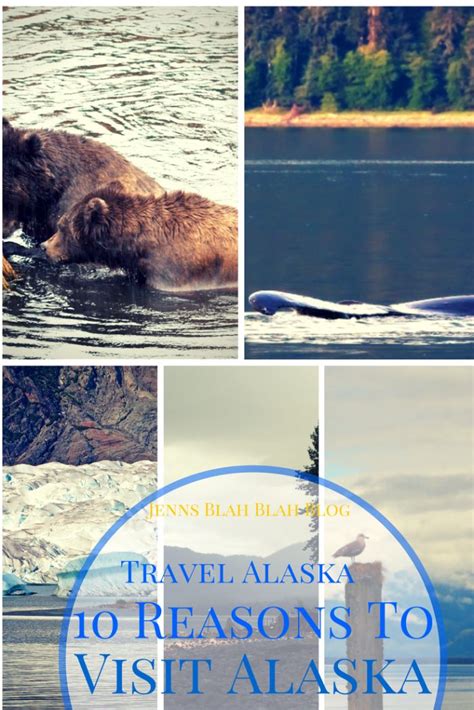 Travel Alaska 10 Reasons To Visit Alaska Jenns Blah Blah Blog