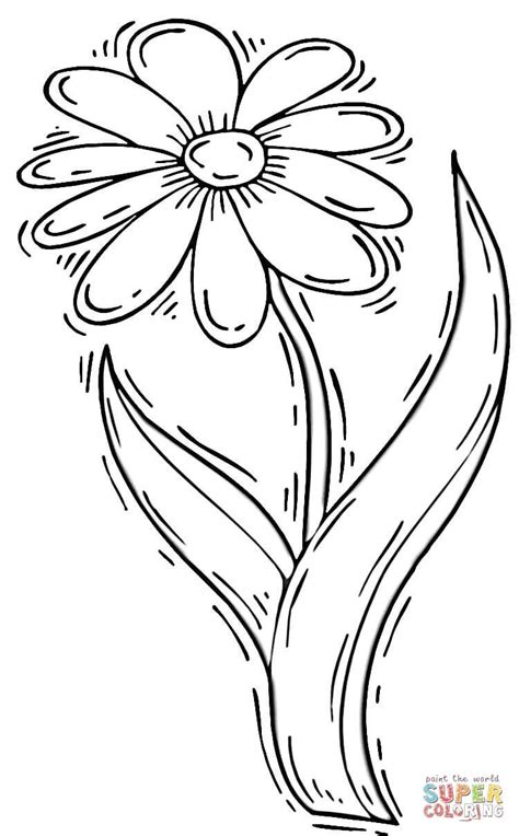 Gerbera daisies also grow well in containers. Gerbera Daisy Coloring Pages at GetColorings.com | Free ...