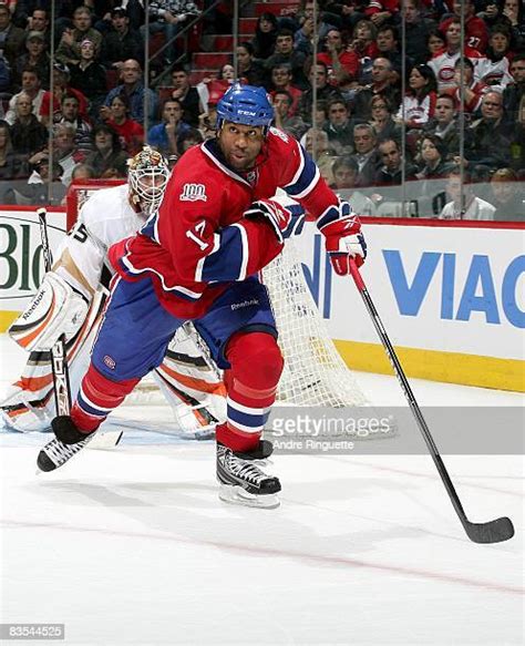 Montreal Canadiens Georges Laraque Photos And Premium High Res Pictures