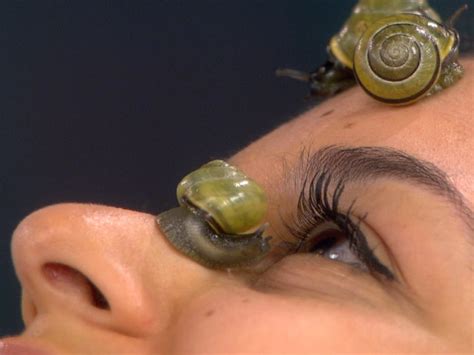 Too Slimy Live Crawling Snails Used In Japanese Facials