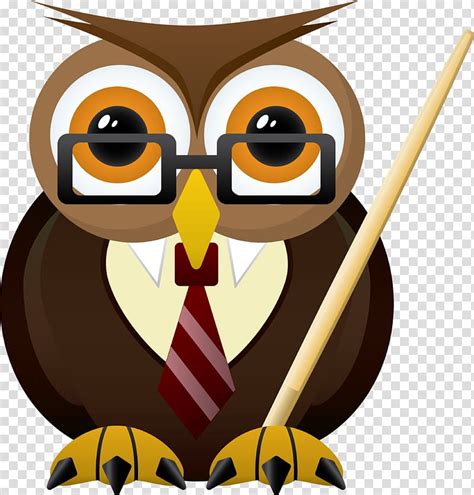 Head Teacher School Student Owls Transparent Background Png Clipart
