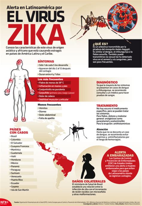 Zika Infografías ¿cómo Se Transmite Qué Provoca Y Cómo Tratarlo