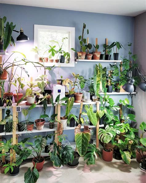 Houseplantjournal Part 2 Of My Tour With Tim Urbangreenroom Now Up