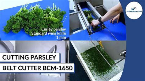 Machine Chopping Parsley Industrial Cutting Machine Bcm 1650 Youtube