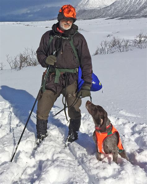 Det er torgeir dahls (h) kommentar til kravet om å få en utredning av romsdalsaksen opp som sak i fylkestinget. Gull til korthårlaget i NM vinter 2017 | Norsk Vorstehhund ...