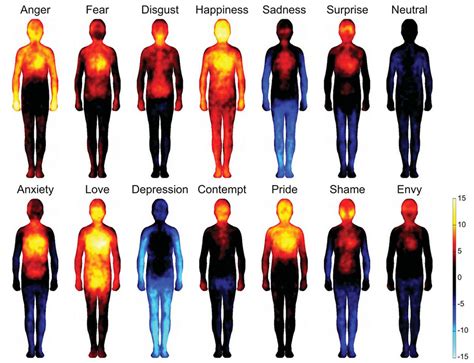 These Heatmaps Reveal Where Humans Feel Certain Emotions Bored Panda