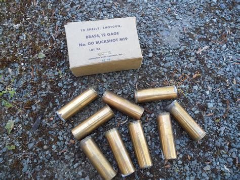 Free Photo Shotgun Shells Ammo Ammunition Bullets Free Download