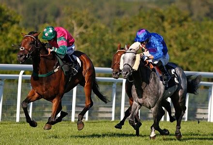 South africa horse racing fields and today's racing form guide section contains all the racing form you require; UK Horse Racing Tips: Clonmel | oddschecker