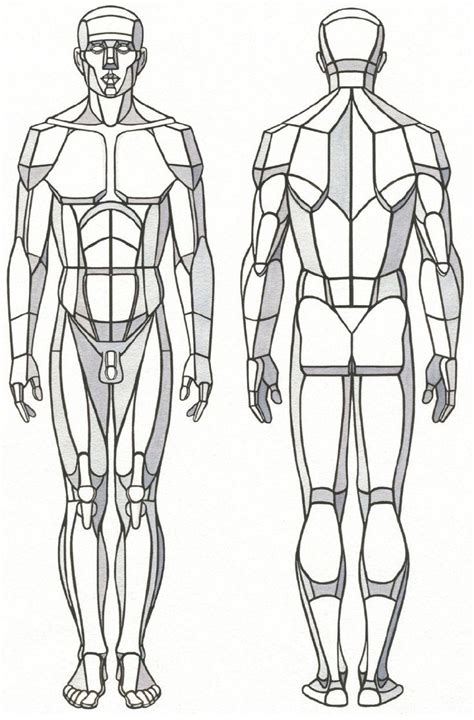Pin By Eduardo Inke On Draw Human Anatomy Drawing Human Body Drawing Human Anatomy