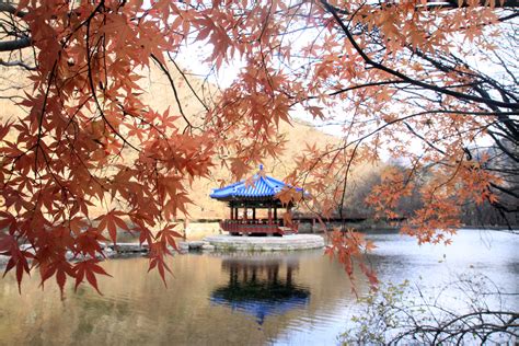 Musim Gugur Saat Terbaik Berkunjung Ke Korea Beyond Vacation