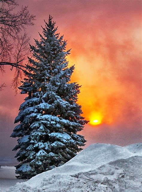 Snowy Sunset ~ Dreamy Nature