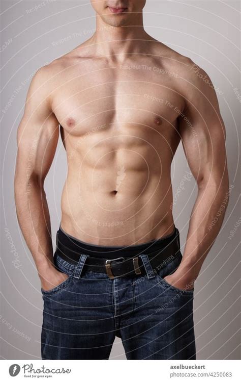 Muscular Male Torso Body A Royalty Free Stock Photo From Photocase