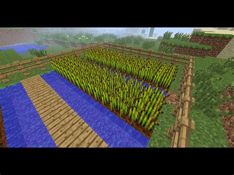 How To Build A Basic Farm In Minecraft 12 Steps With Pictures