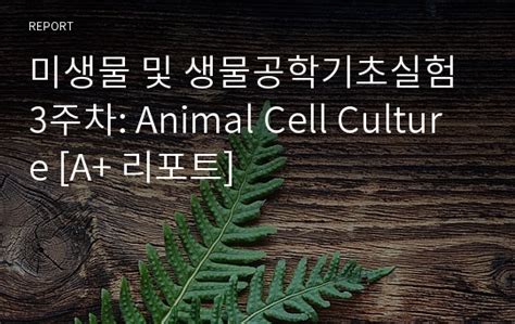 Culture of animal cells a manual of basic technique. 미생물 및 생물공학기초실험 3주차: Animal Cell Culture A+ 리포트 레포트