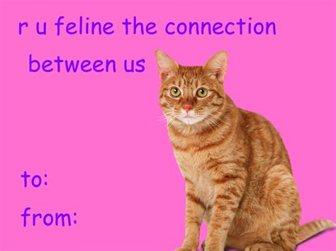 Cat Valentine Valentines Memes Meme Valentines Cards Valentines Day