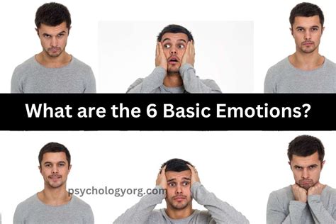 What Are The 6 Basic Emotions And Their Characteristics Psychologyorg