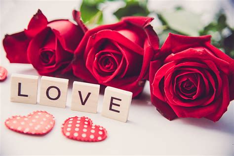 Love Flowers Photos Free Download Love Flowers Pictures Download Free