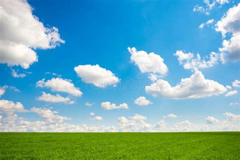 Green Grass And Blue Sky With White Clouds Stock Photo Image Of Grass