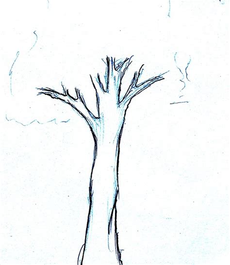 Cara Menggambar Pohon Mudah And Simpel Mayagami