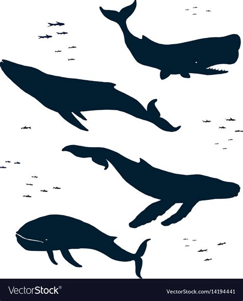 Marine Mammals Silhouette Royalty Free Vector Image