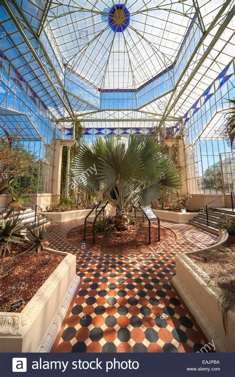 Inside A Victorian Greenhouse Stock Photo Royalty Free Image