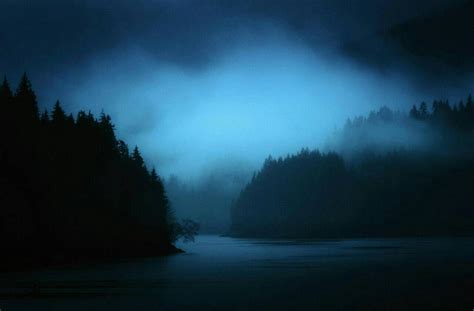 Dark Forest And Fog By Astroyellowbox On Deviantart
