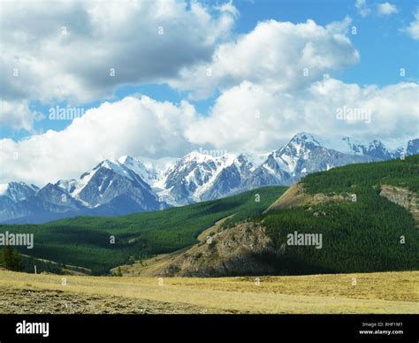Mountain Landscape In Altai Mount Belukha Stock Photo Alamy