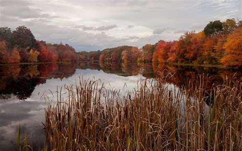 Best Time To See Rhode Island Fall Foliage 2023 When To See Roveme