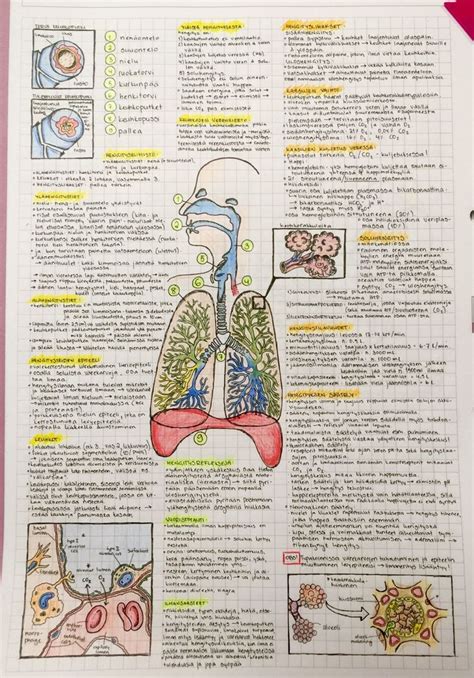 2542015 Respiratory System I Hope You Enjoy This One Too Im