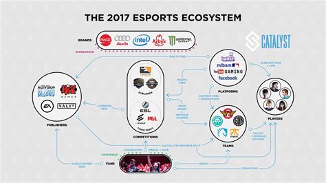 The 2017 Esports Ecosystem Explained In One Chart By Harry Alford
