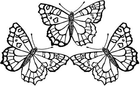 Beautiful Butterfly Coloring Pages At Getdrawings Free Download