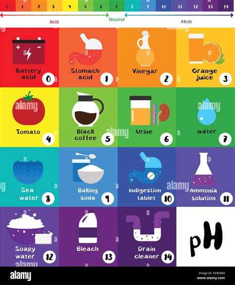 La Escala De Ph Indicador Universal De Ph ácido Diagrama De Color