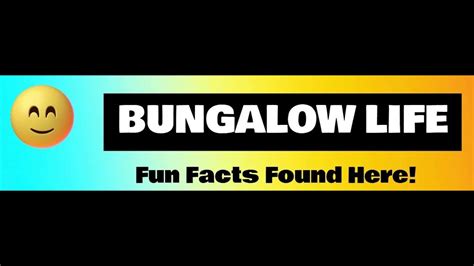 Fun Facts About Skunks Youtube