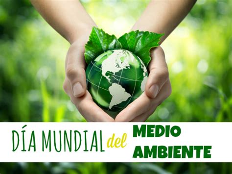 Imágenes lindas para celebrar este de junio el Día Mundial del Medio Ambiente