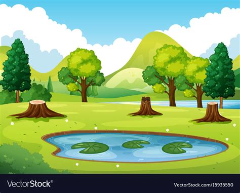 Forest Scene With Little Pond Royalty Free Vector Image