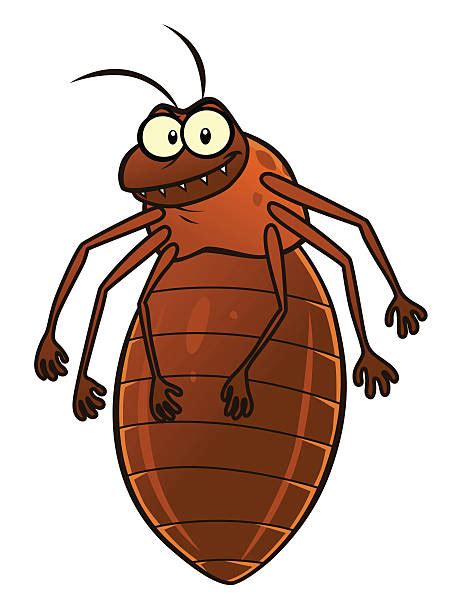 Bed Bug Clipart 20 Free Cliparts Download Images On Clipground 2024