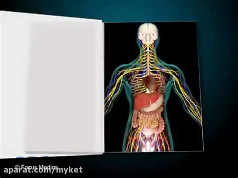 Animated Essential Atlas Of Human Anatomy