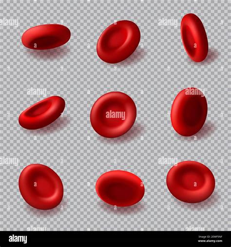 Red Blood Cells 3d Vector Hemoglobin Hematology Medicine Human Body