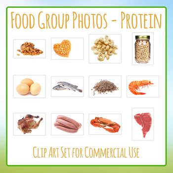 Reason enough to have more? Food Group Photos - Proteins - Photograph Clip Art Set for ...