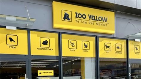 Zoo Yellow Sklep Zoologiczny W Kartuzy