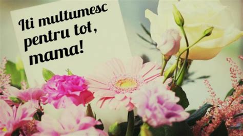 Mama poate fi asociată cu primăvara, deoarece este ca un soare care topeşte gheaţa, care înfloreşte şi care mama este cea mai importantă fiinţă de pe pământ, de aceea îi este închinată ziua de 8 martie. 8 MARTIE. Mesaje, urări şi felicitări de ZIUA FEMEII: La ...