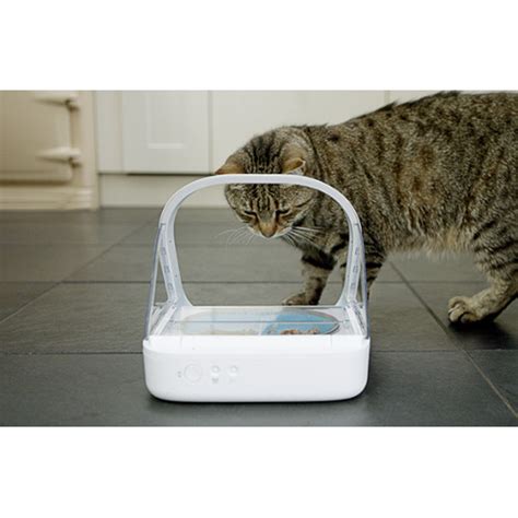 2.4l automatic cat water fountain led electric mute water feeder usb dog pet drinker bowl pet drinking dispenser for cat dog. SureFeed Microchip Cat Feeder with Bowls Mat & RFID Tag ...