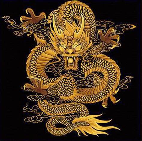 Dragon Paint By Number Kits • Paint By Number For Adults