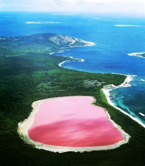 Beauty Will Save Beautiful Pink Lake Hillier Beauty Will Save