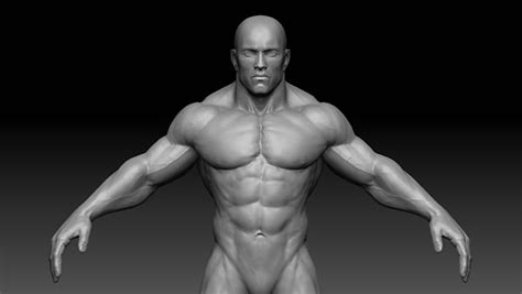 3d Model Muscular Male Body