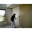 Professional Painters & Decorators Service Available In Lucan 